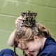 Illustration for article titled ZOMG NEW PICS OF BABY CLOUDED LEOPARD!!!